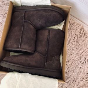 New UGG Women’s Classic Short II (Chocolate)